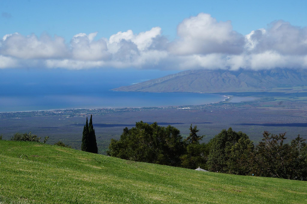 Things to do in Upcountry, Maui: What to See, Eat, and Explore