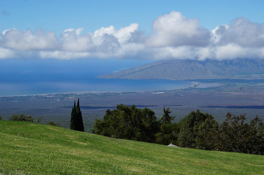 Things to do in Upcountry, Maui: What to See, Eat, and Explore