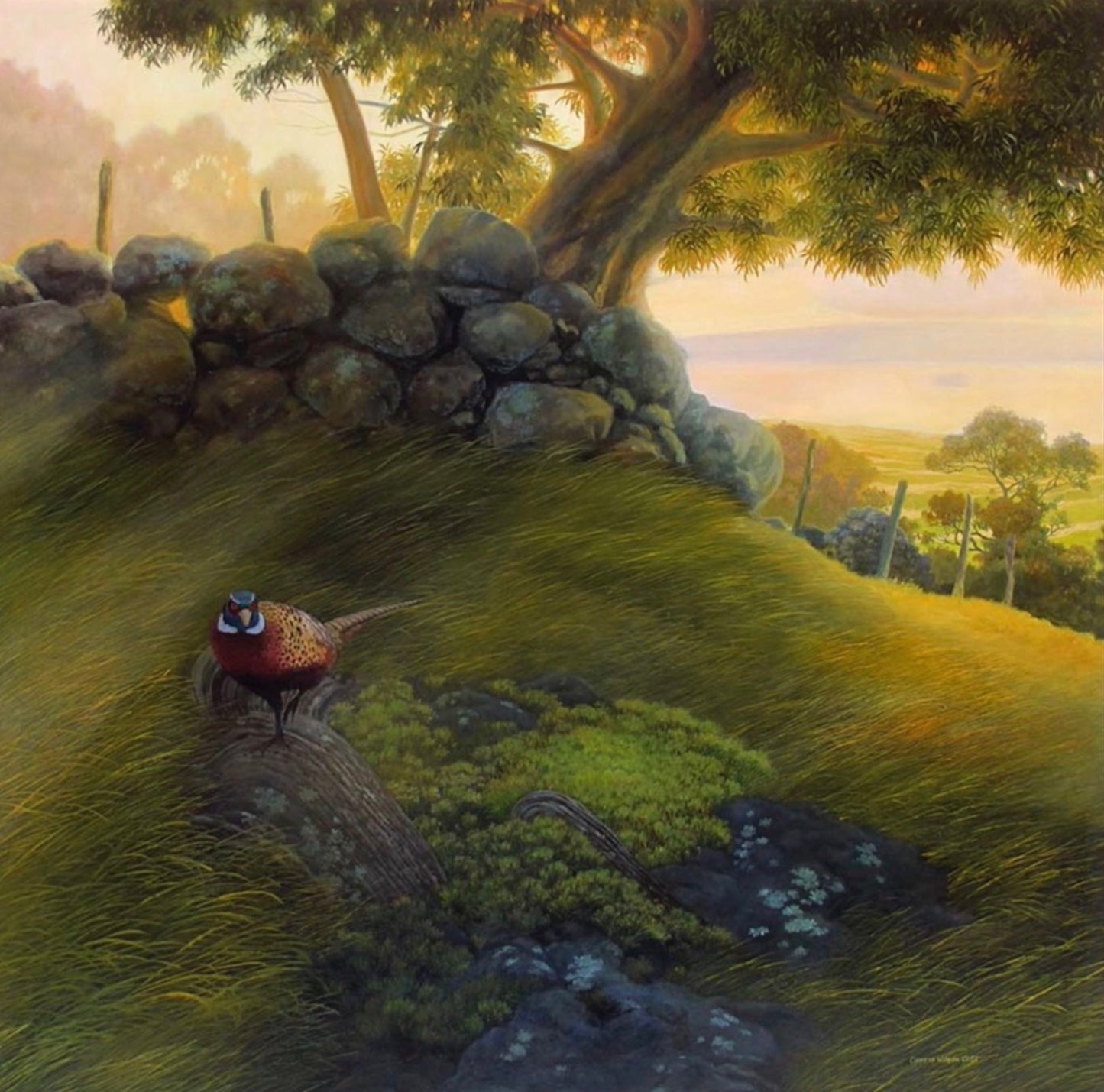 Eleven Thousand Acres, Limited Edition, Unstretched Giclée, Various Sizes