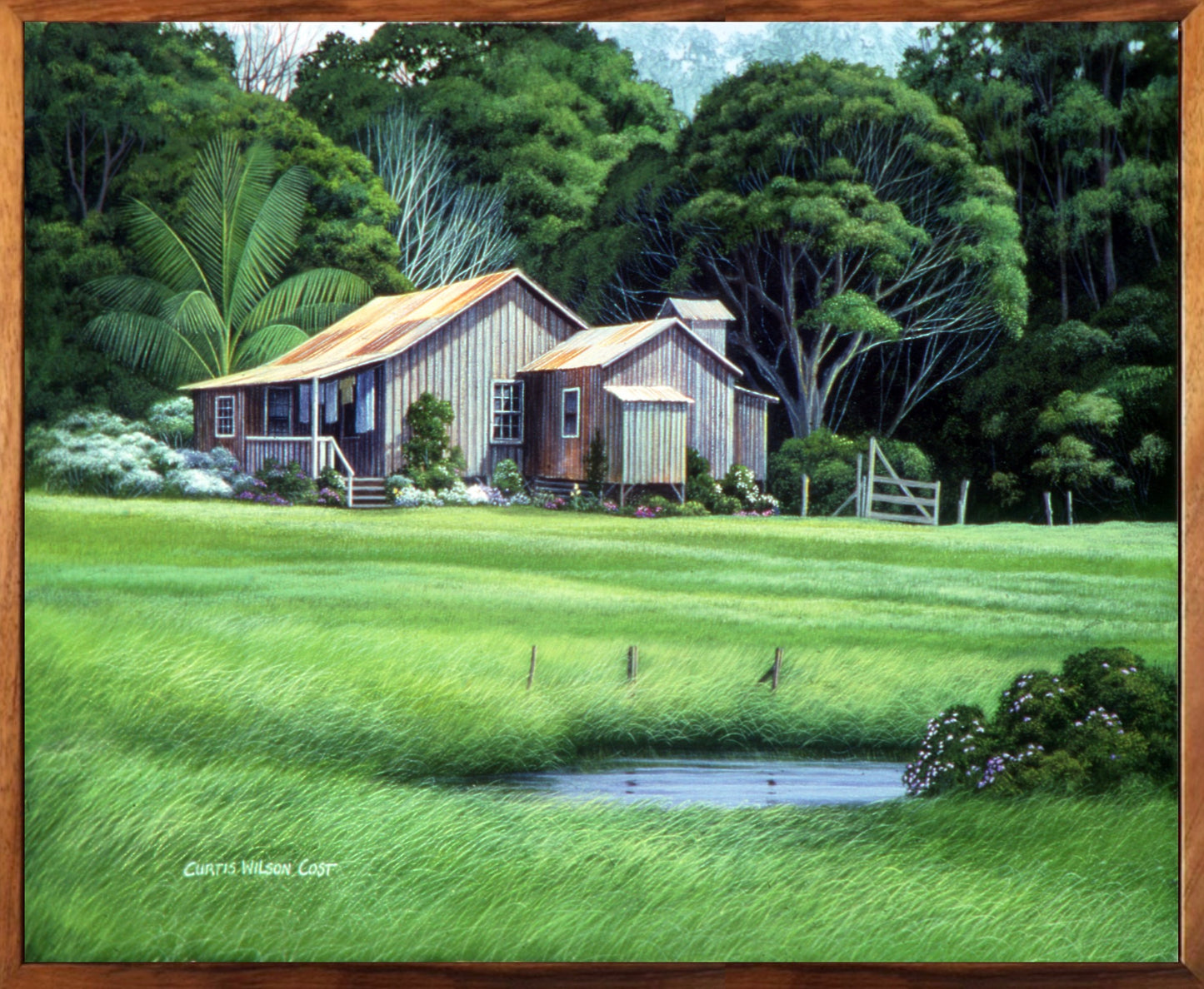 Yellow Iris, Limited edition giclée, 1 Piece koa framed