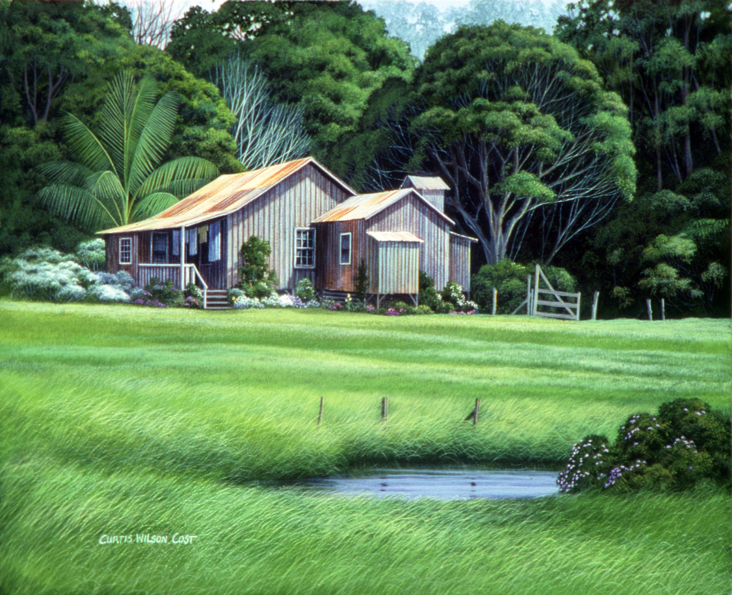 Yellow Iris, Limited Edition, Gallery Wrapped Giclée