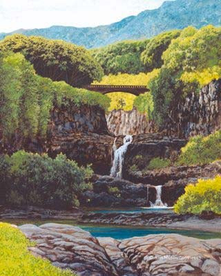 Kahawai O' Oheo, Limited Edition, Unstretched, Various sizes