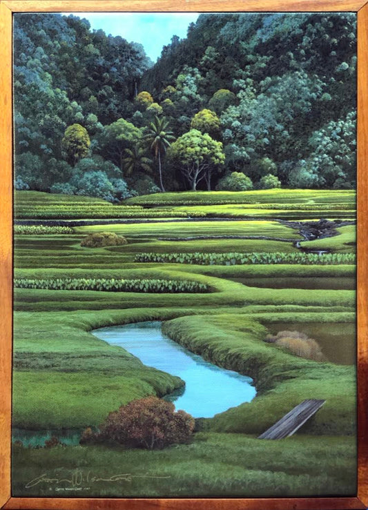 Poi for Julia, hand signed giclée, 1 pc. koa framed , various sizes