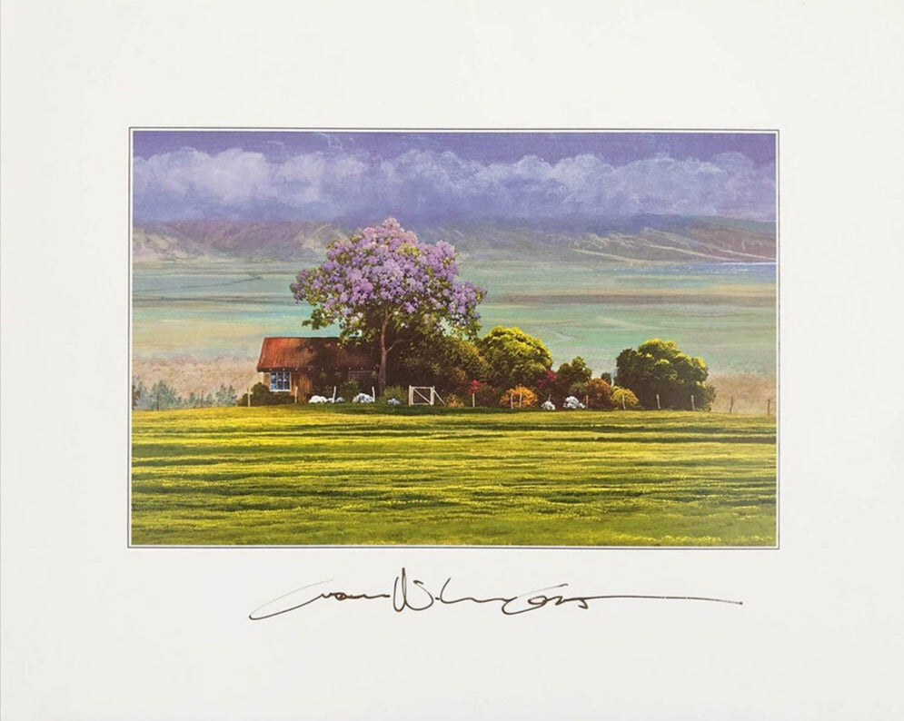 Colours Paper Print