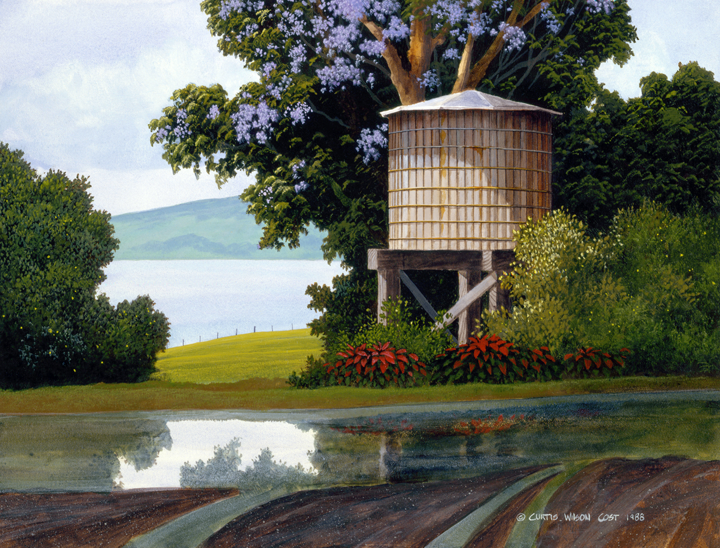 Morning Rain Unstretched Canvas Various Sizes