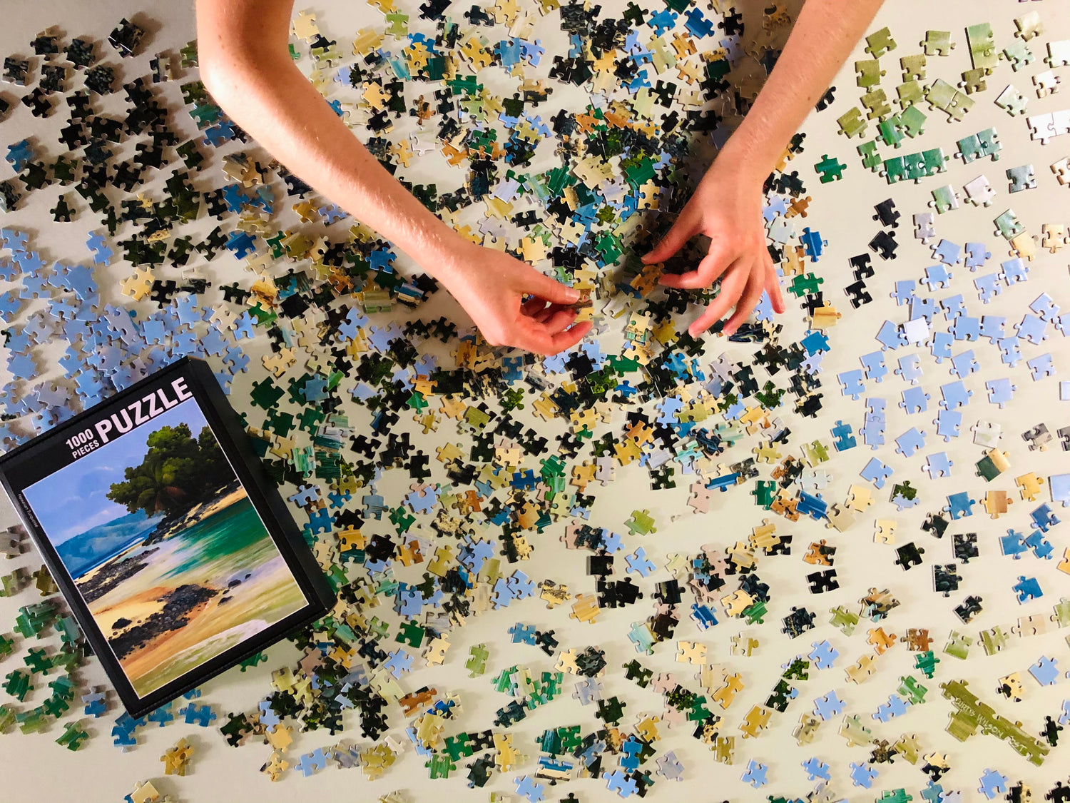 Puzzles