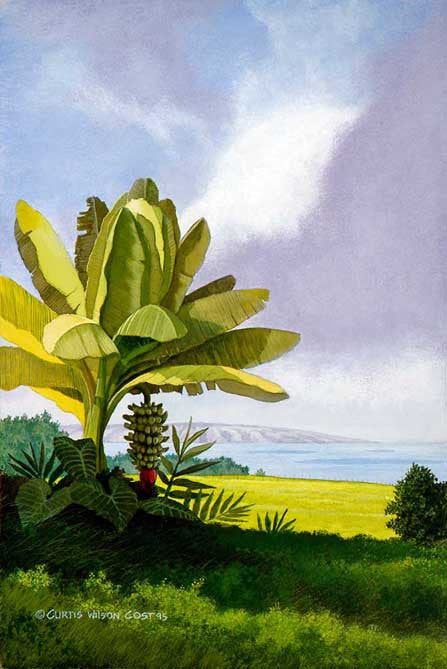 Banana Sunday, 1996
