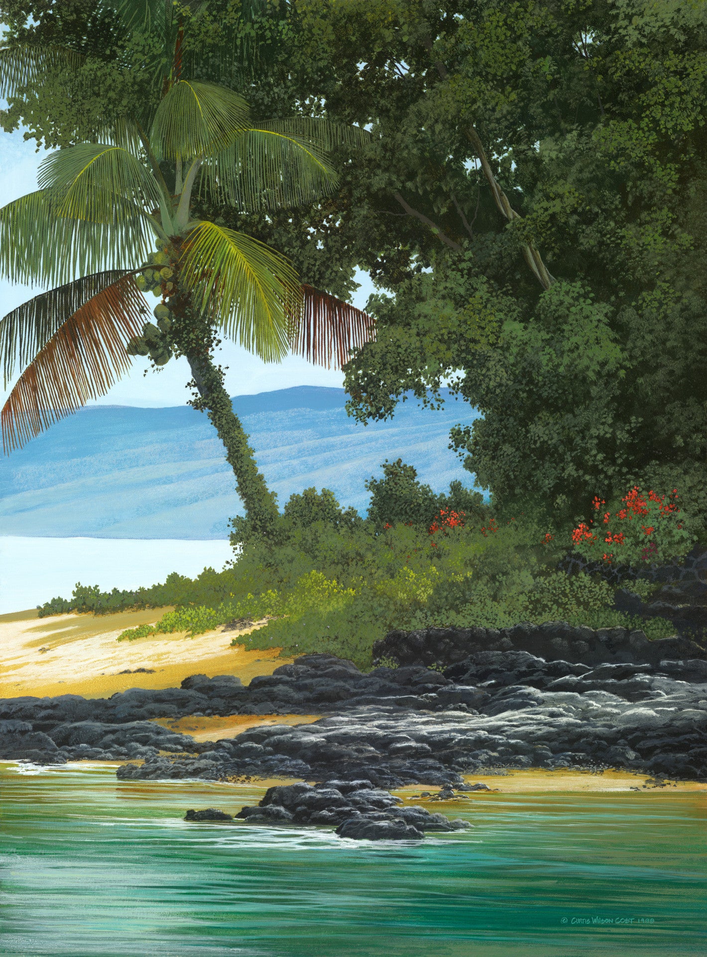 Beach Morning Glory, 1988