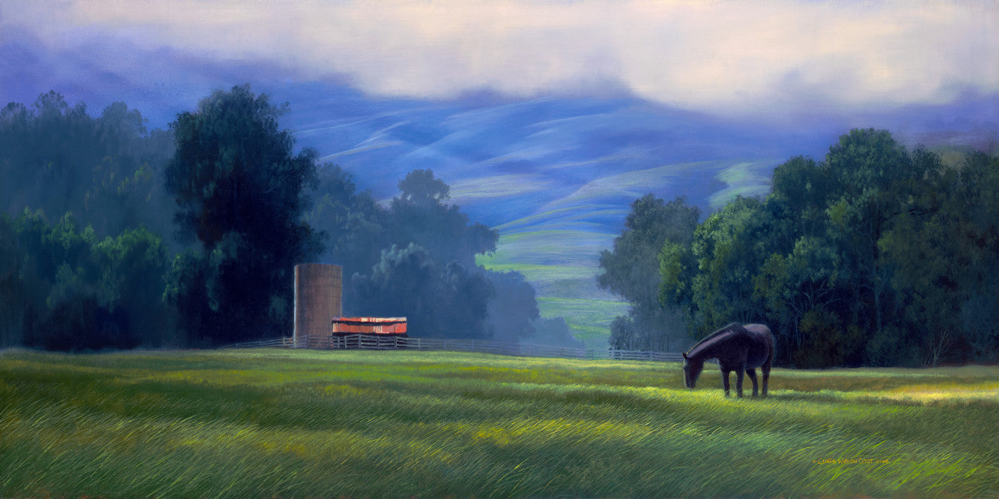 First Light in the Morning Air, 2008