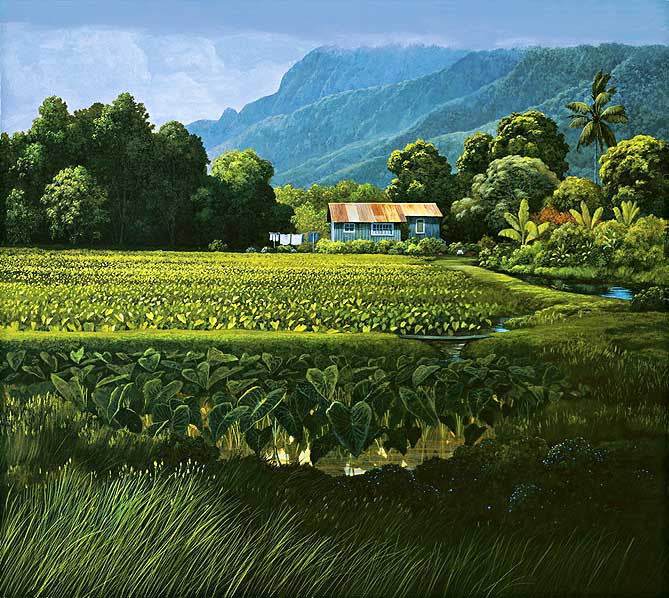 Hanalei Taro, 1988