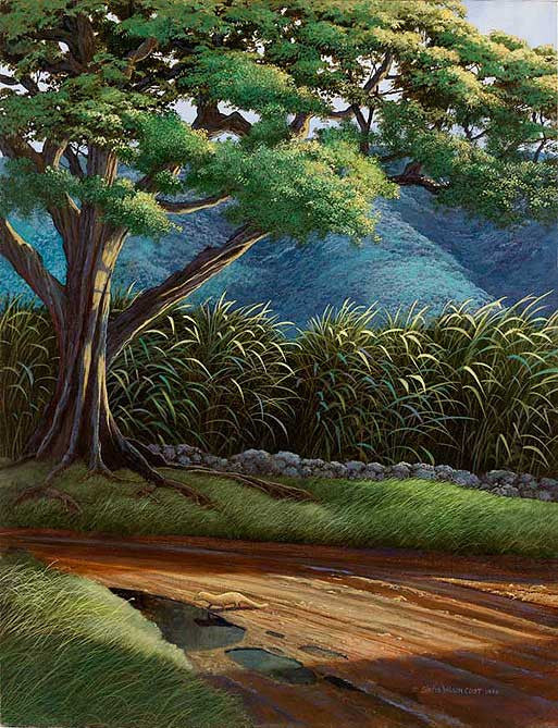 Hawaiian Teriyaki, 1992