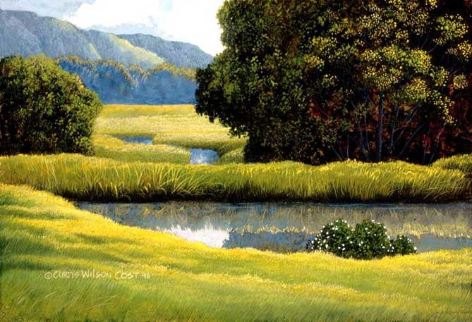Hele Maile, 1996