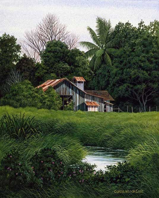Island Seed Shed