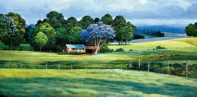 Jacaranda Season, 1983