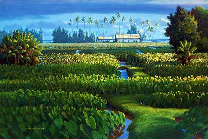 Keanae Dawn, 1998