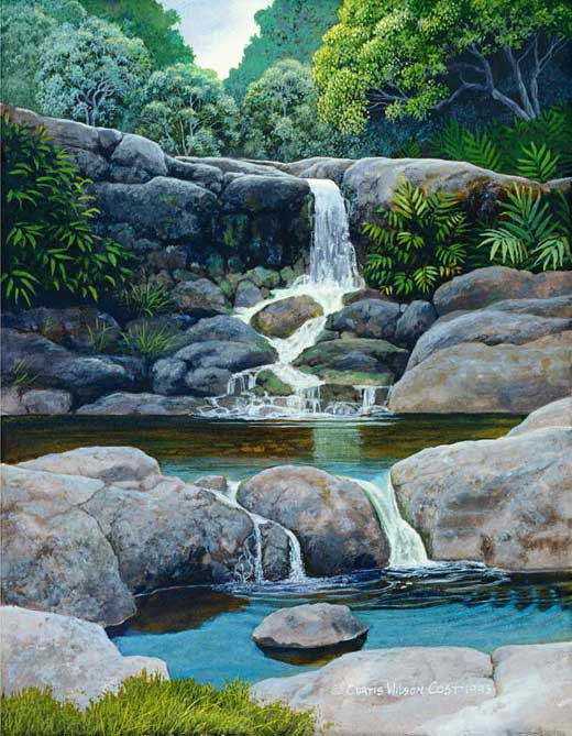 Kokee Waters, 1994