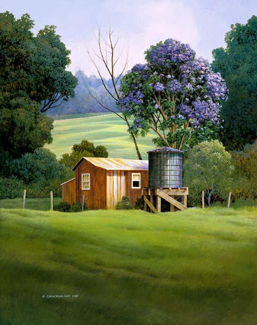 Lavender Rain in Full Bloom, 2014