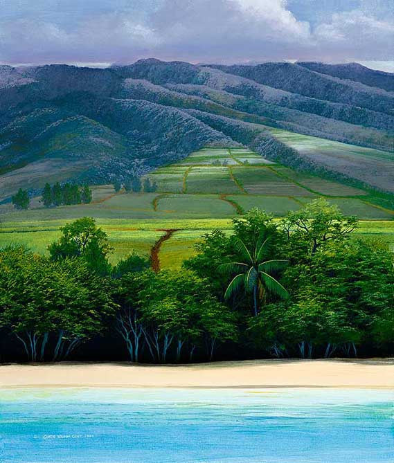 Mauka To Makai, 1989