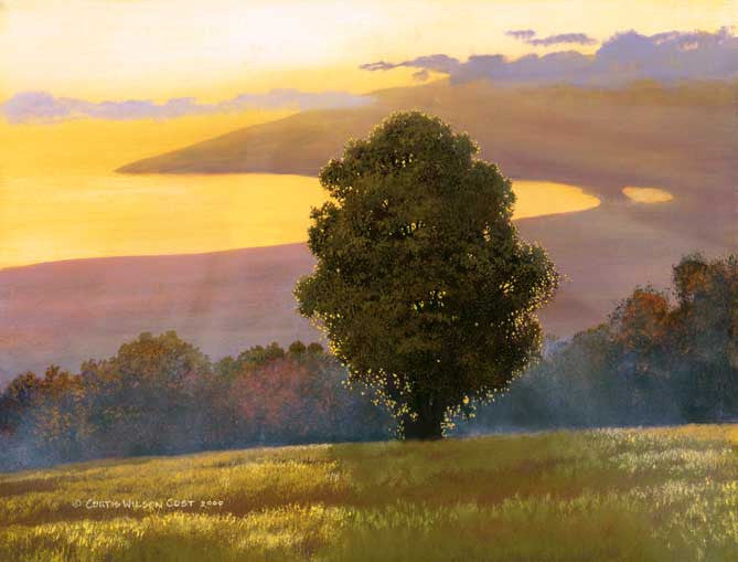 Mirror of Gold, 2000