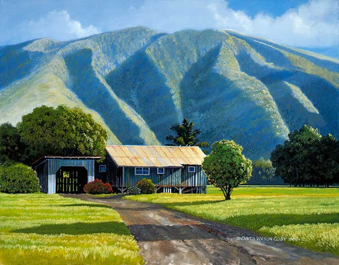 Molokai Roof Pigeons, 2001