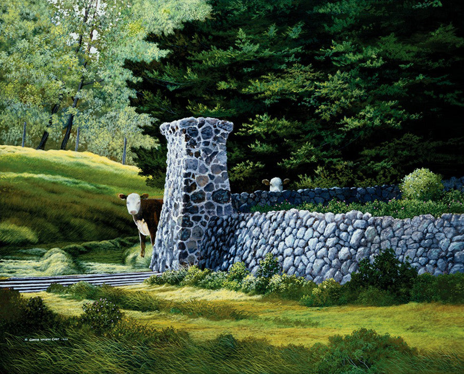 Mutual Curiosity, 1985