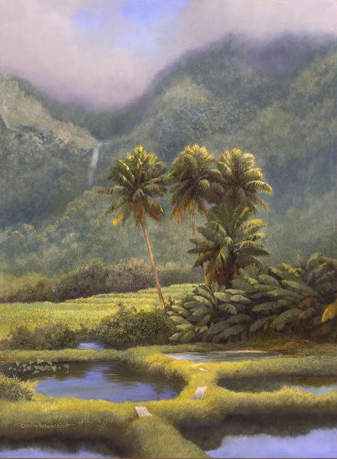 Old Hawaii, 2015