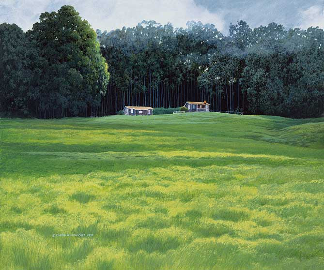 Peanut House, 1996