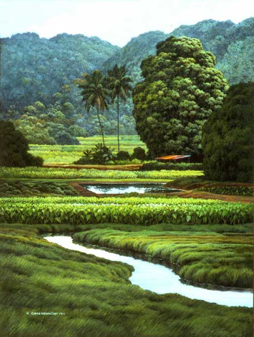 Ponds and Terraces, 1983