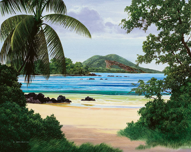Pu'u O'lai, 1984
