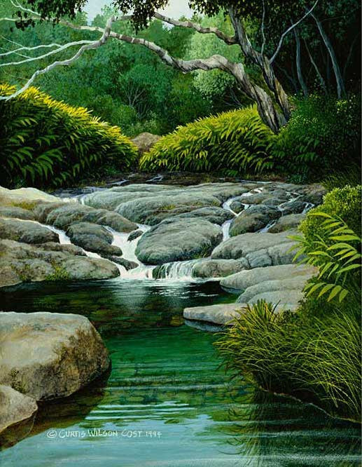 Secret Pond, 1991