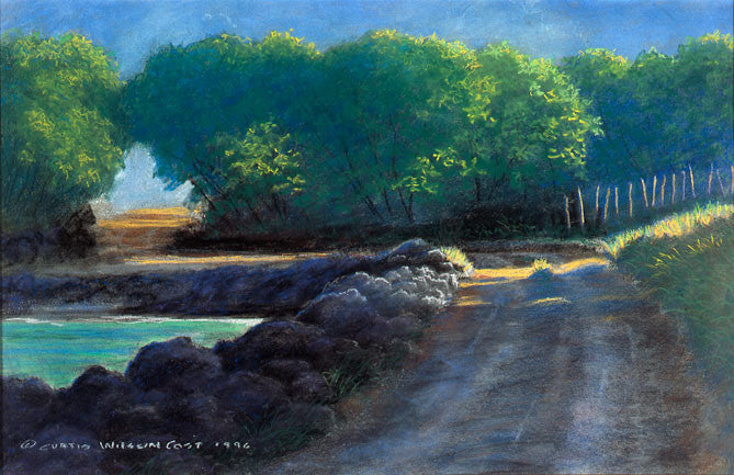 Sun Rising on Ahihi, 2002