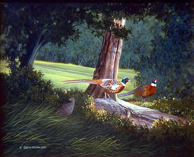 Undercover Pheasants, 1985