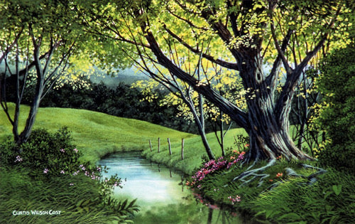 Verdant Hollow, 1979