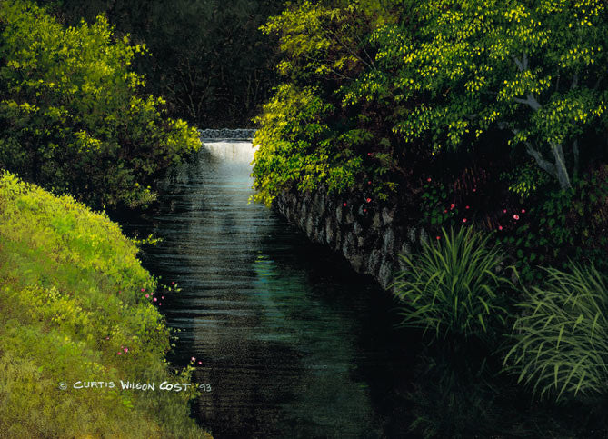 Whispering Through Wailuku, 1993