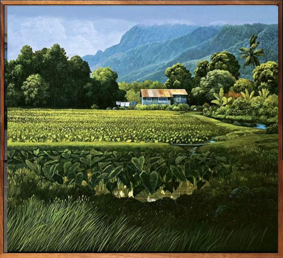Hanalei Taro, Hand signed, canvas giclée, 1 pc. koa framed, Various sizes