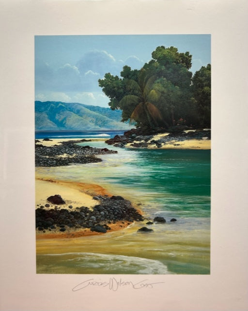 Hawaiian Turquoise Paper Print – Curtis Wilson Cost Gallery