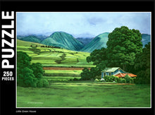 Load image into Gallery viewer, Little Green House Fine Art Puzzle: 250 or 1000 pieces
