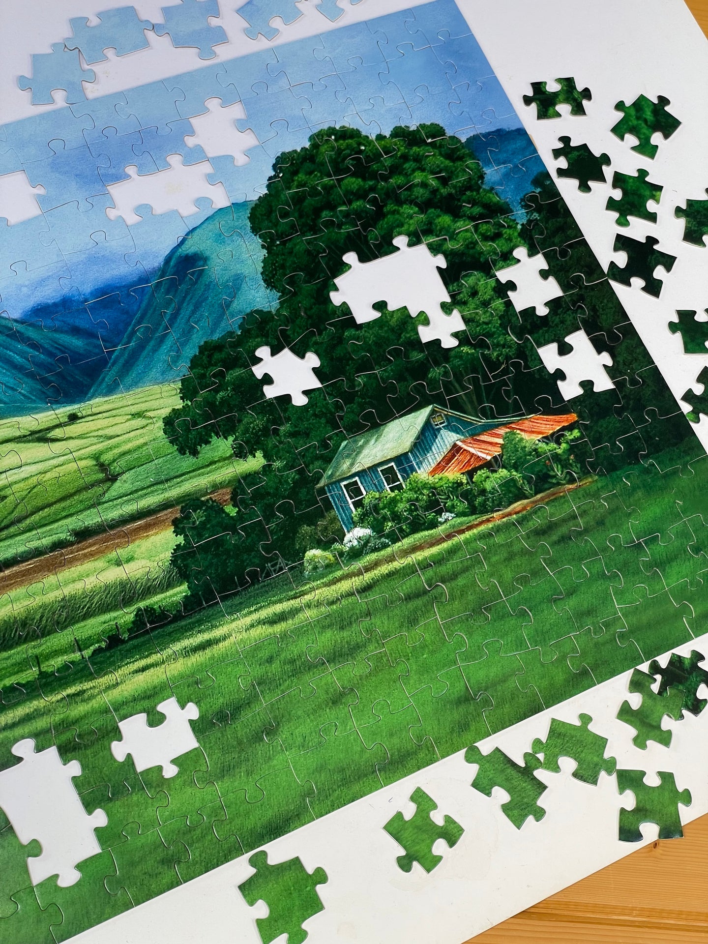 Little Green House Fine Art Puzzle: 250 or 1000 pieces