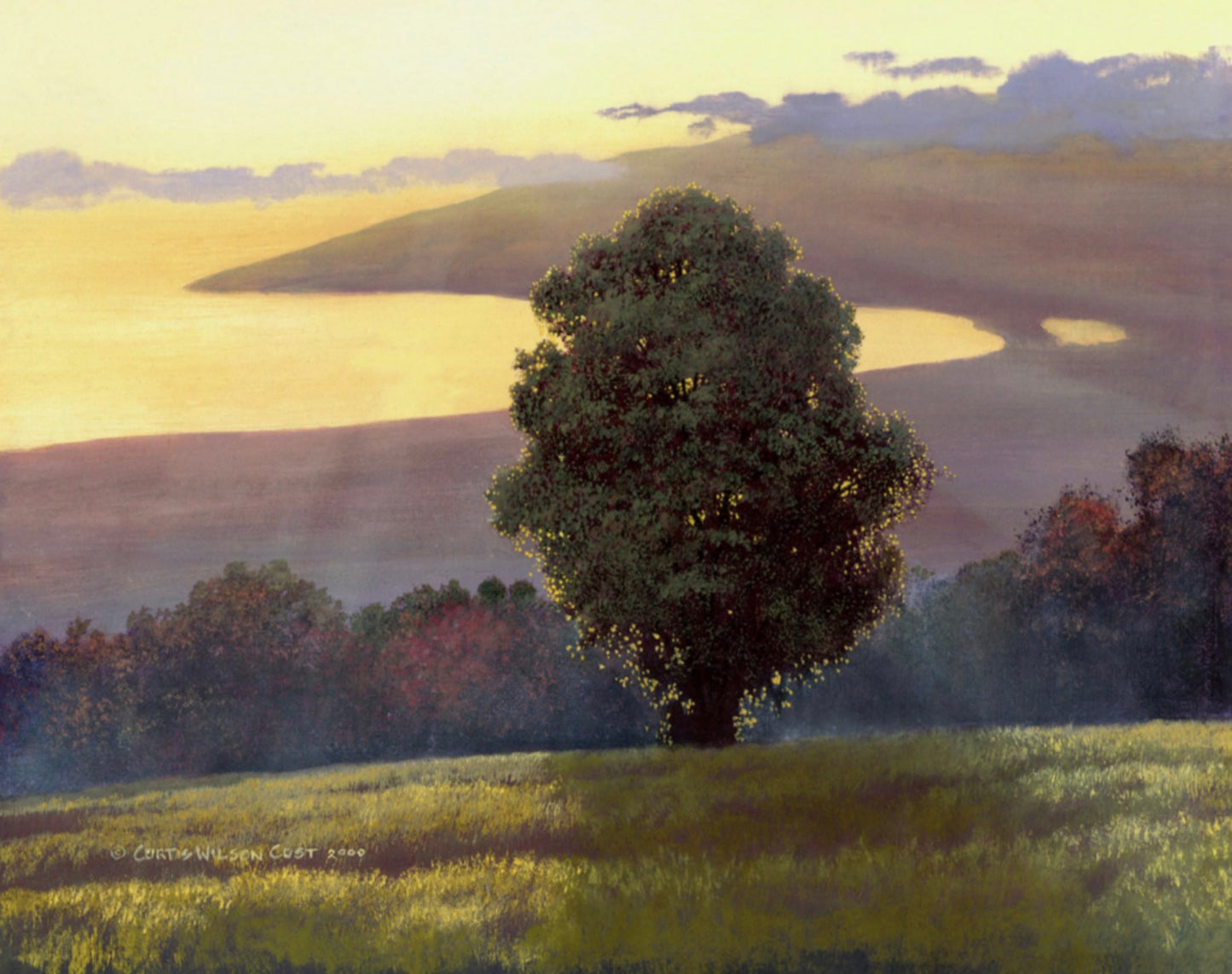 Mirror of Gold, Limited Edition, Gallery wrapped,  Canvas Giclée, Various Sizes