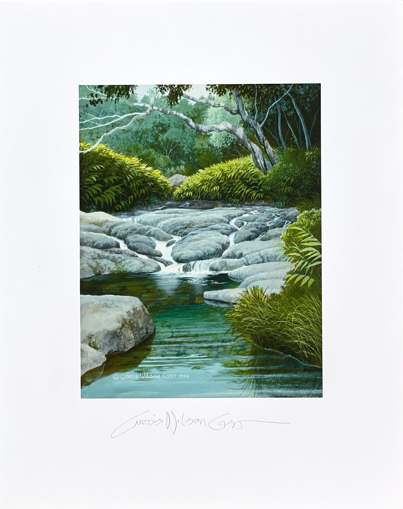 Secret Pond Paper Print