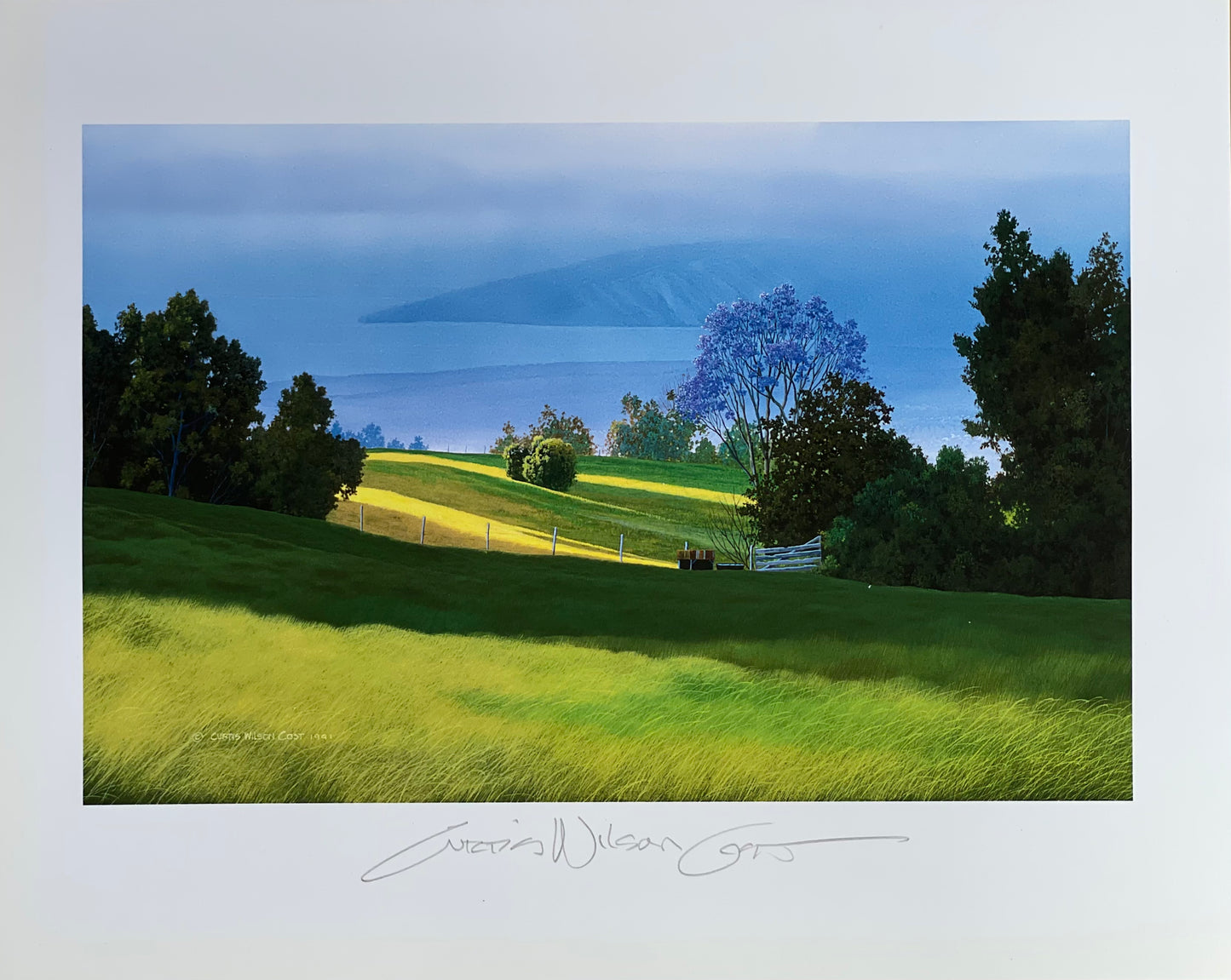 Strands of Gold Paper Print Large