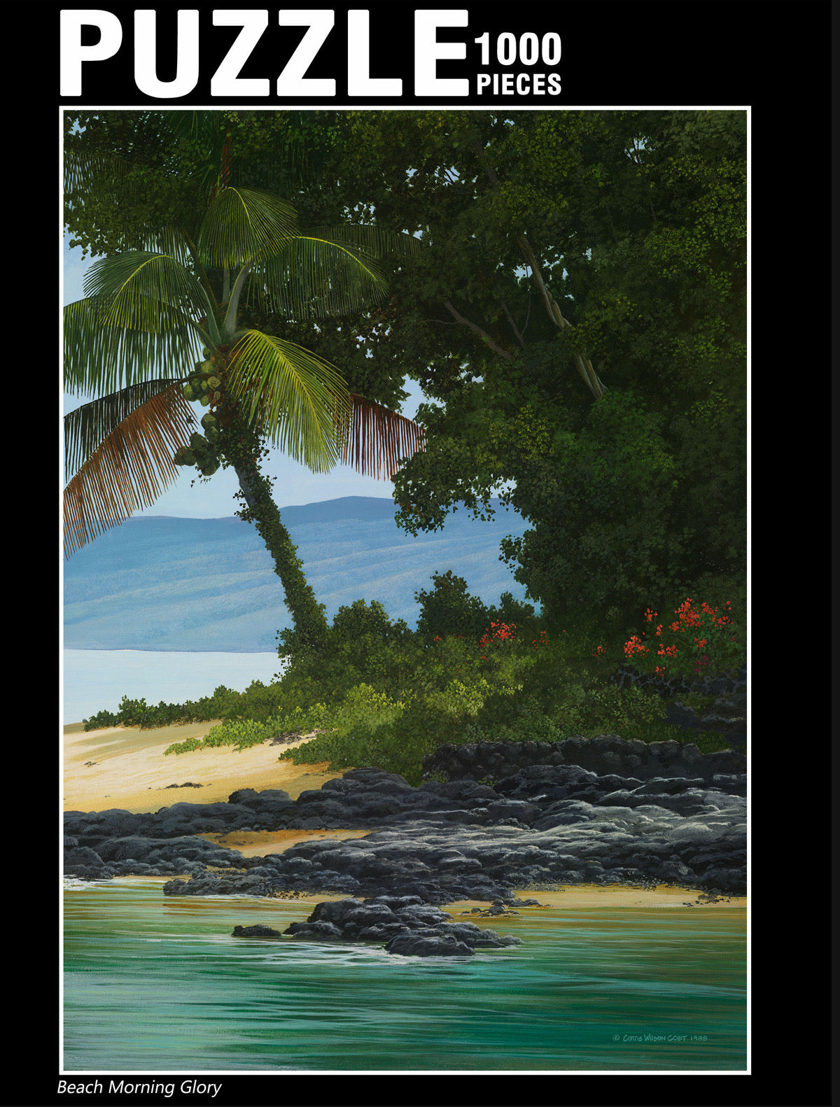 Beach Morning Glory Fine Art Puzzle