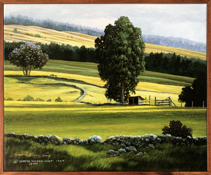 Pasture of Shadows, 1 Piece Frame, 13 1/4" x 16 1/2"
