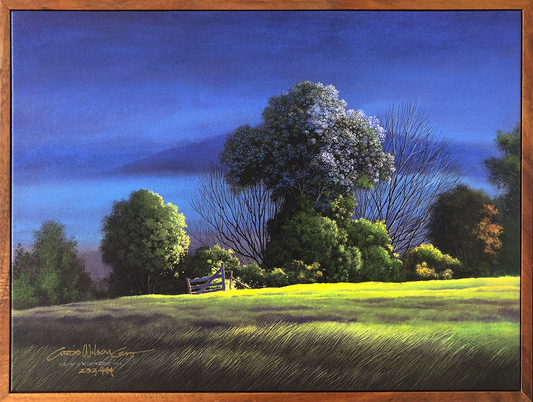 Eastern Exposure, Limited Edition Giclée, 1 Piece Koa Frame, Various sizes