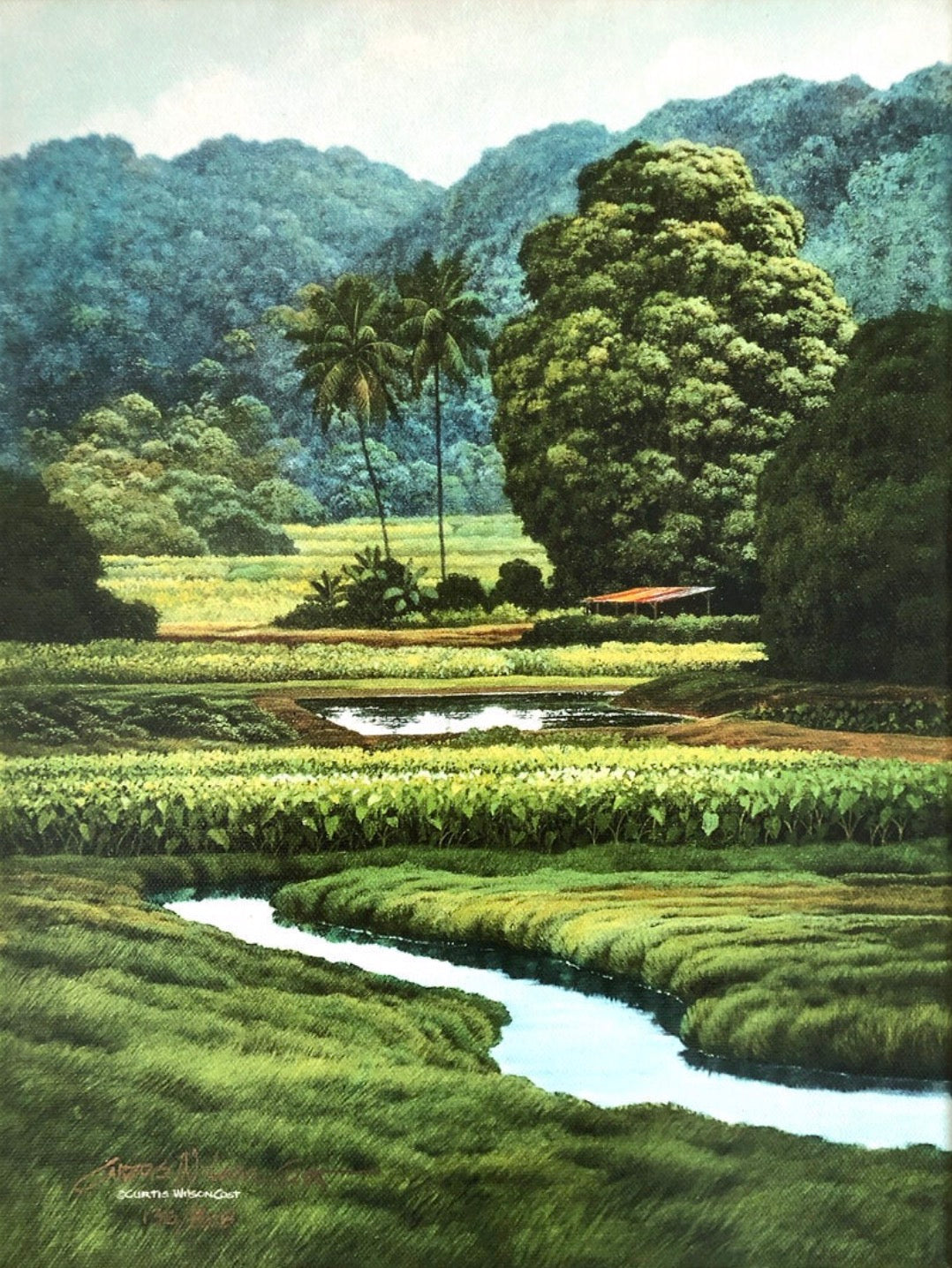 Ponds and Terraces, unstretched giclée, Limited edition, Various sizes