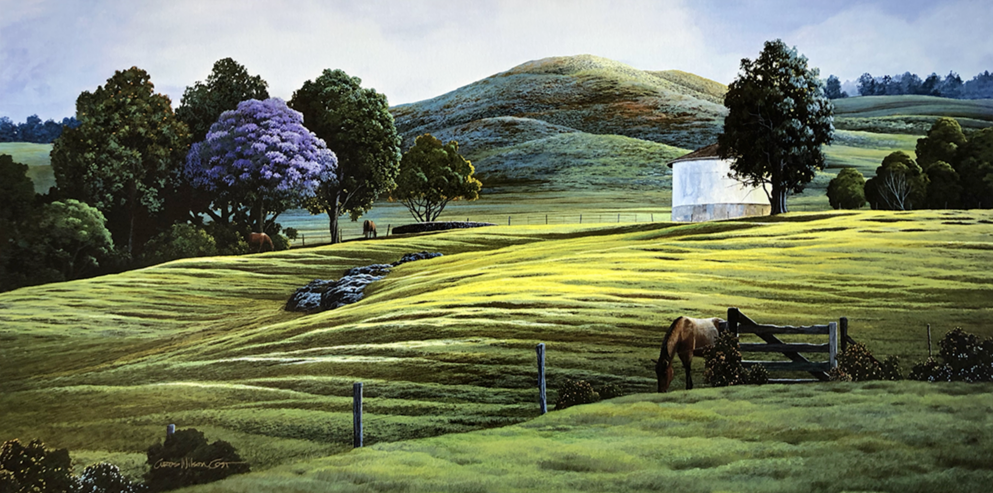 Lunch in Ulupalakua, Unstretched Canvas, Various Sizes