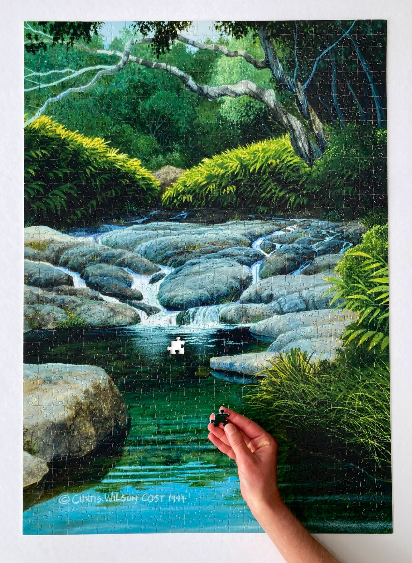 Secret Pond, 1,000 pc puzzle,  Fine Art Puzzle