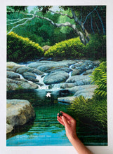 Load image into Gallery viewer, Secret Pond Fine Art Puzzle

